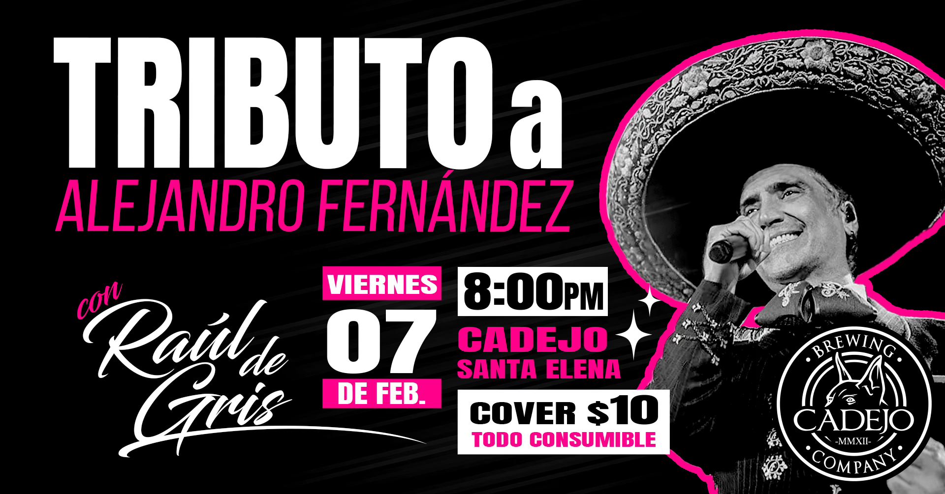 ESPECIAL ALEJANDRO FERNÁNDEZ