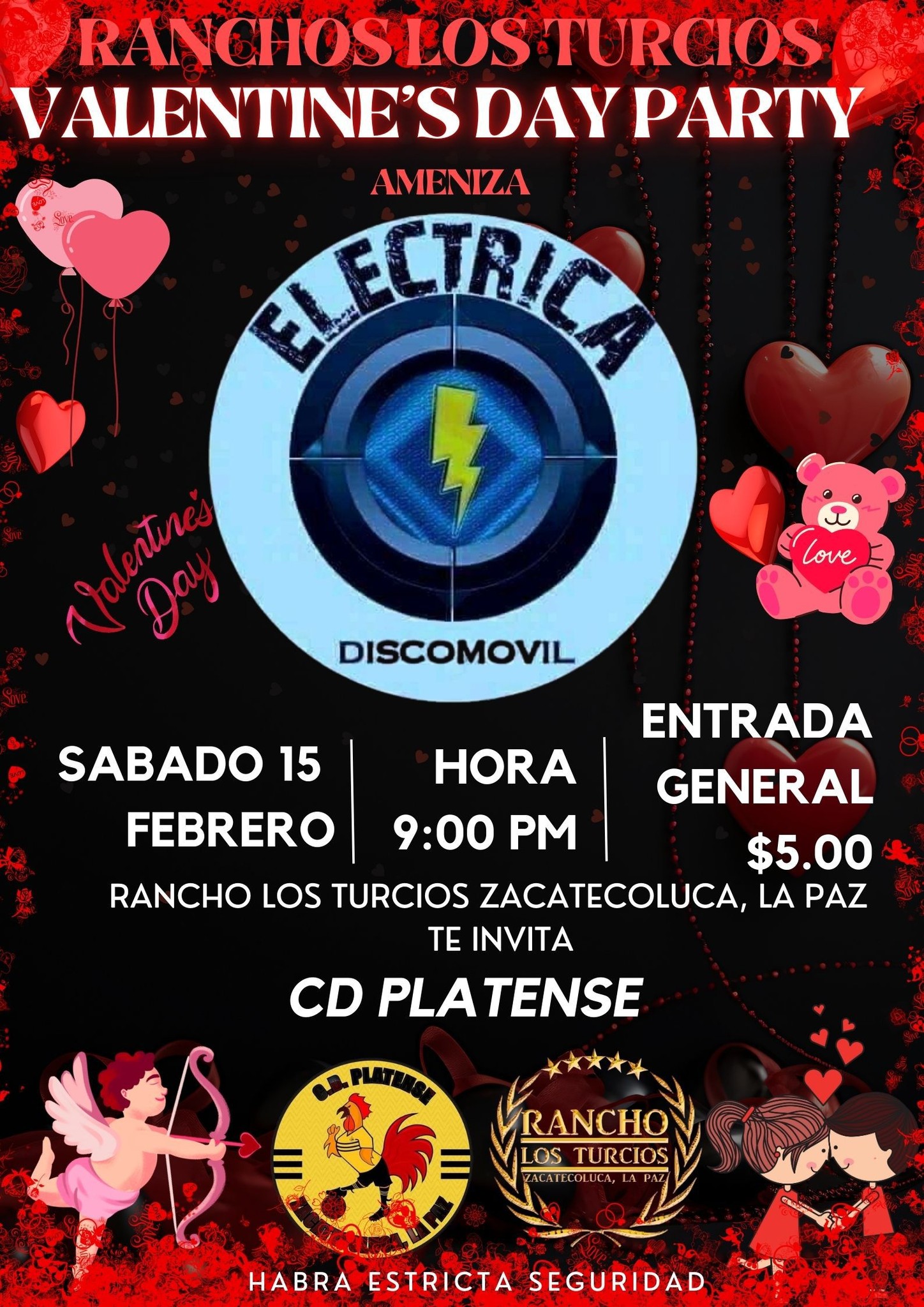 Fiesta de Día de San Valentin 