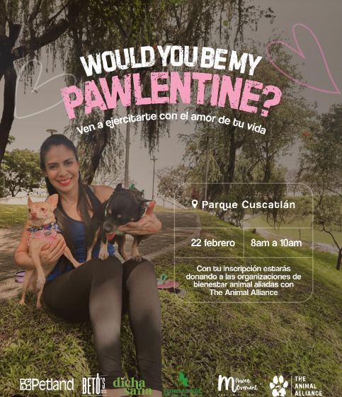 Especial Fiesta Para Perrritos - Pawlentine 
