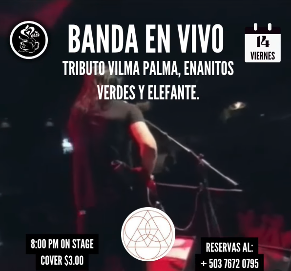 ¡TRIBUTO ENANITOS VERDES, VILMA PALMA Y ELEFANTE!