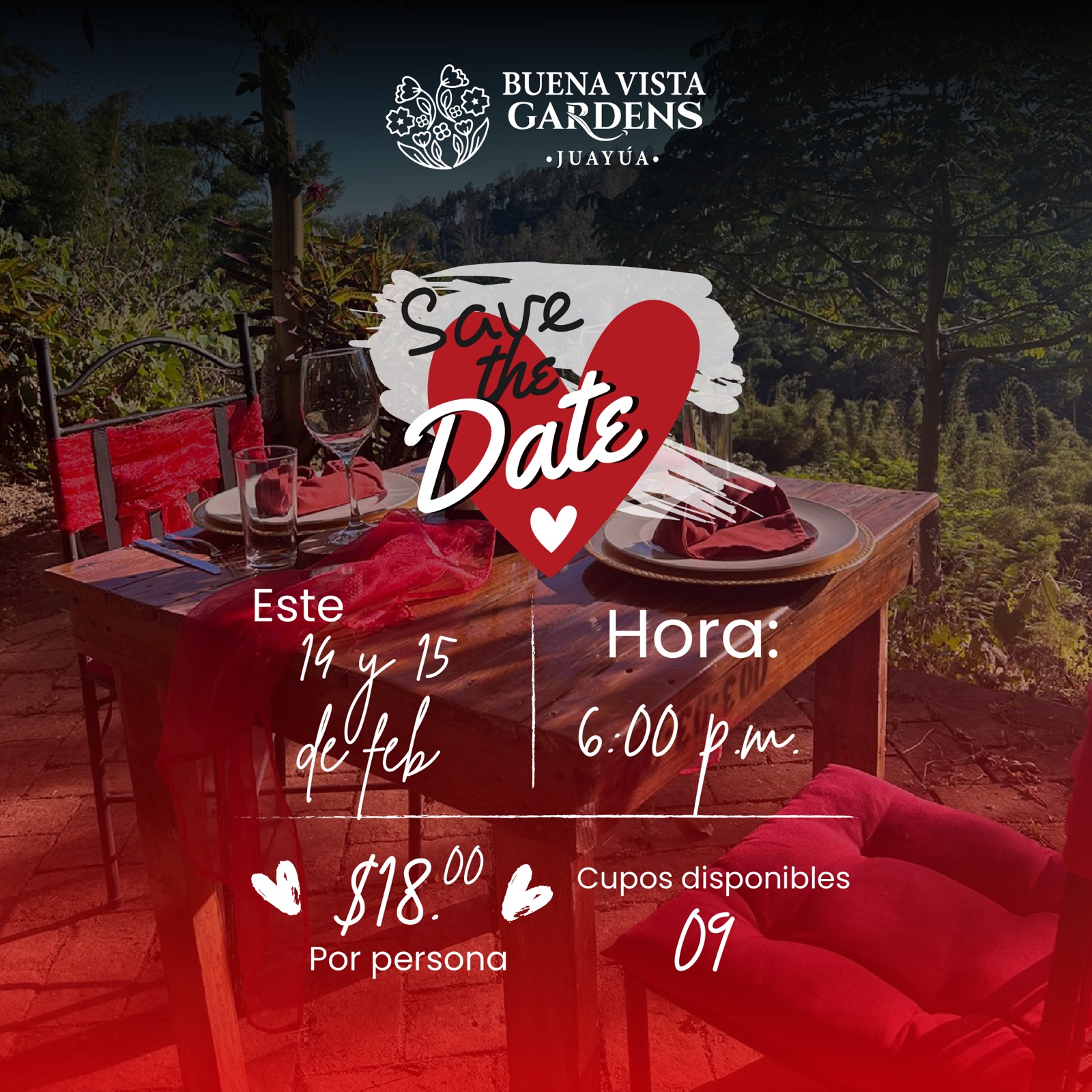 🌿 Cena romántica en la montaña 🌿