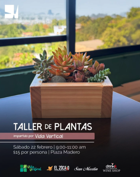 Taller de Plantas junto a Vida Vertical 🪴✨