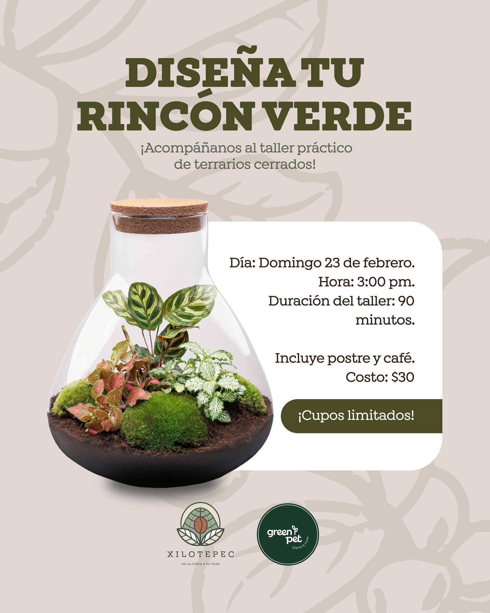 Taller de Terrarios, Crea tu propio mundo verde