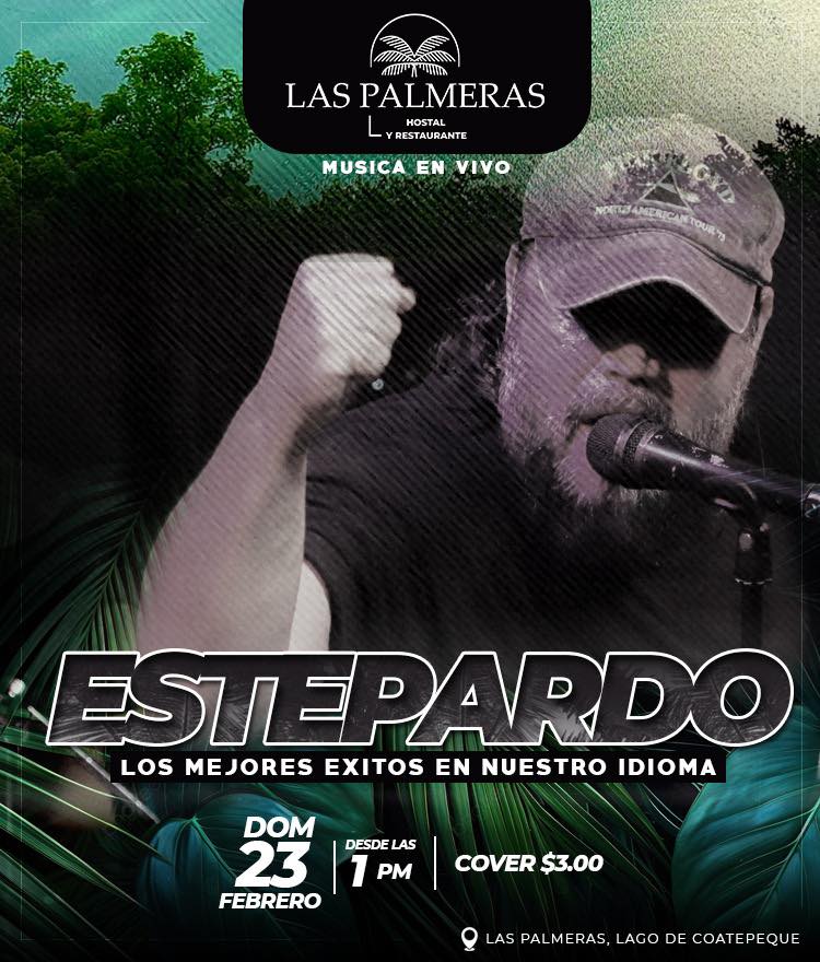 Música en Vivo en Las Palmeras 