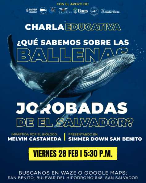 Charla educativa sobre las Ballenas Jorobadas de El Salvador 
