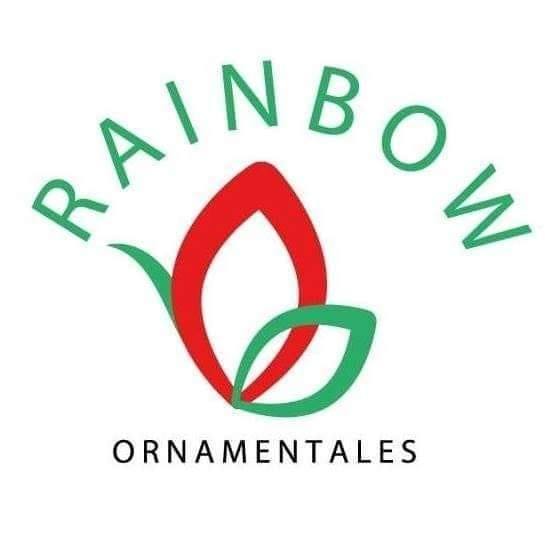 Slide Image - https://cdn.theeventus.com/01JN4MCTZZA5B7ABSEGS0DTA9S.jpg