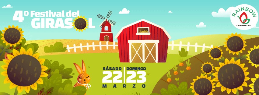 4to Festival del Girasol 🌻📞💛