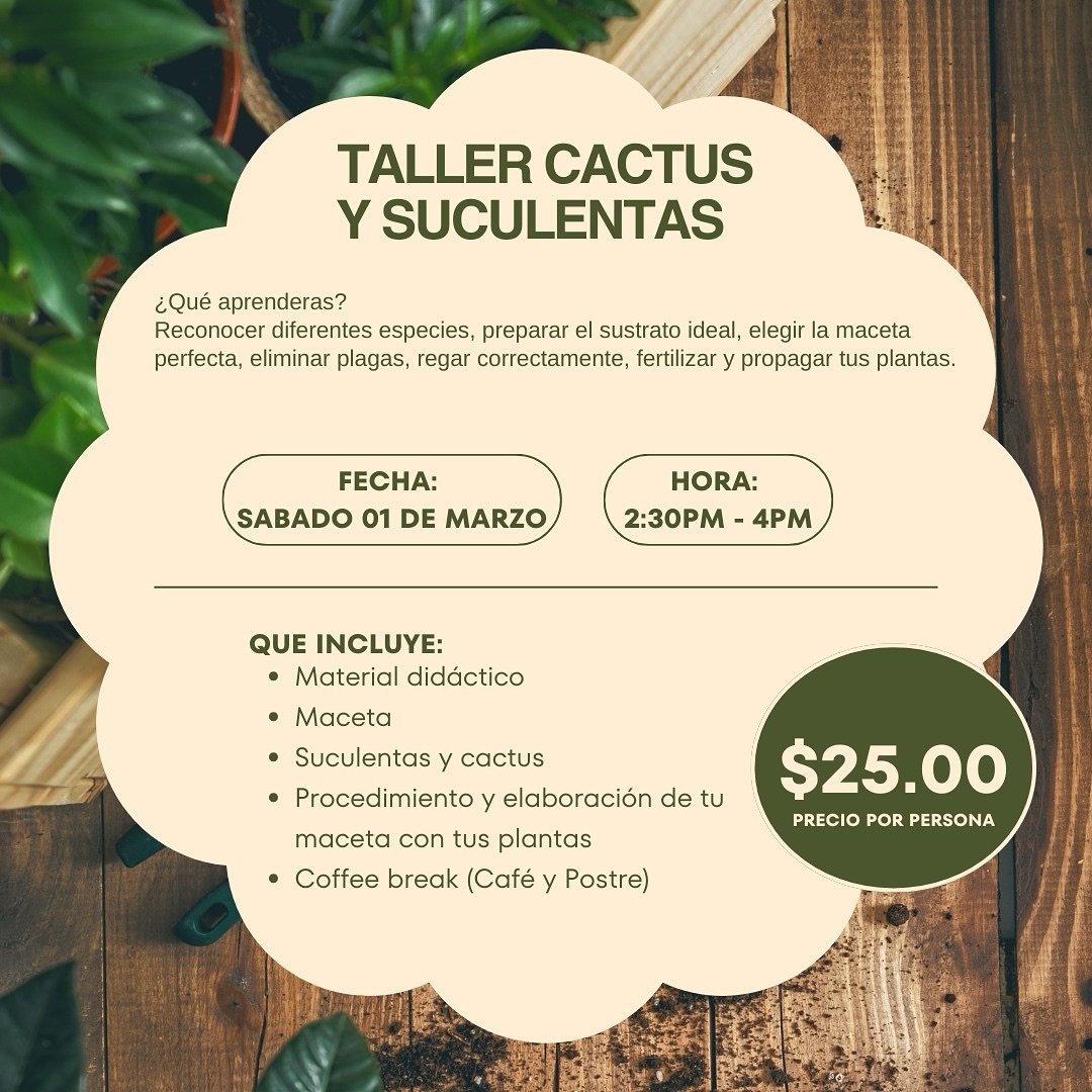 TALLER DE CACTUS Y SUCULENAS