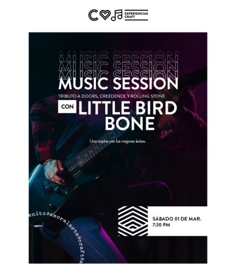 Music Session con Tributo a Doors, Creedence y Rolling Stone 🎸🎶