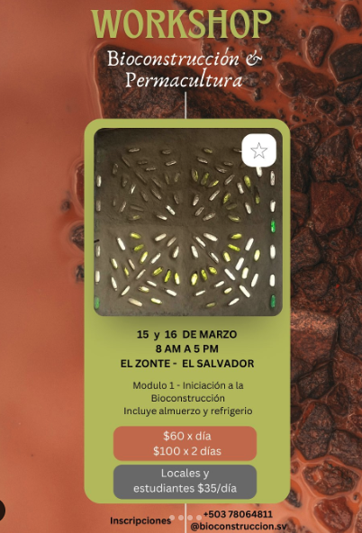 Taller De Bioconstrucción