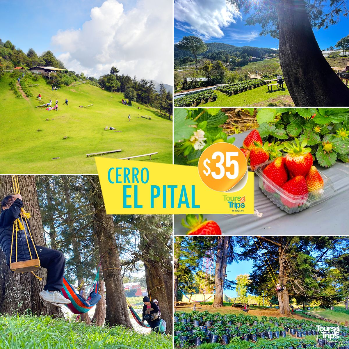 ¡Tour - un viaje de altura!🌬☁️