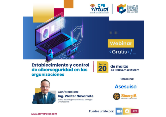 Webinar: "Establecimiento y control de ciberseguridad en las organizaciones"