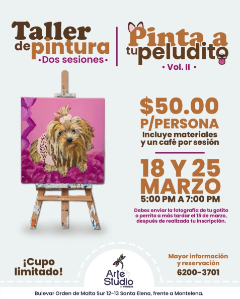 Taller De Pintura, Pinta A Tu Peludito