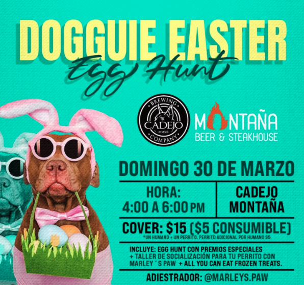 Dogguie Easter Egg Hunt 🐶