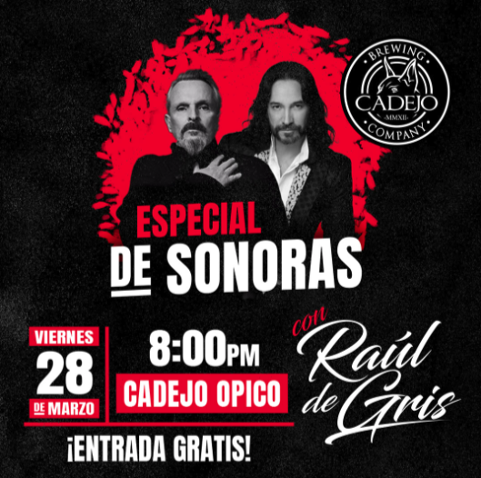 💃🎶 ESPECIAL DE SONORAS