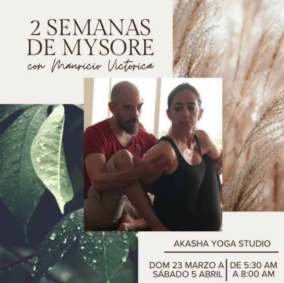 2 Semanas de mysore