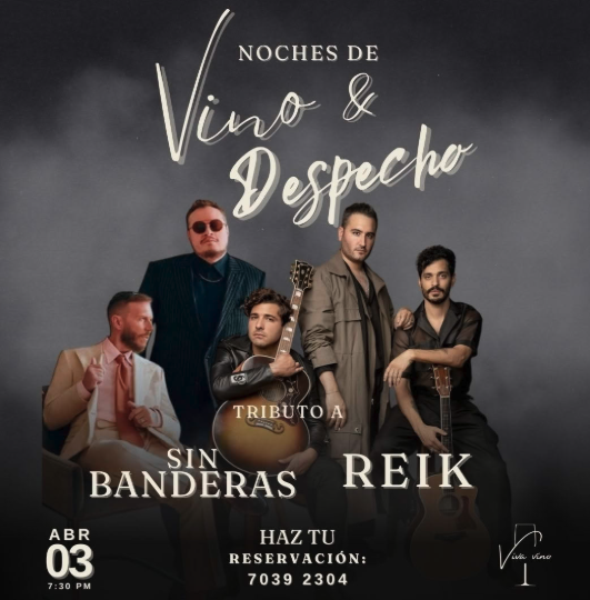 Noches de vino y despecho 