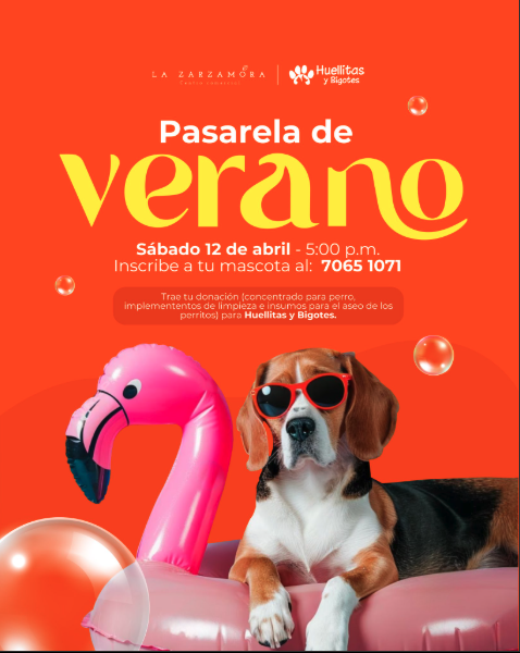 PASARELA DE VERANO 
