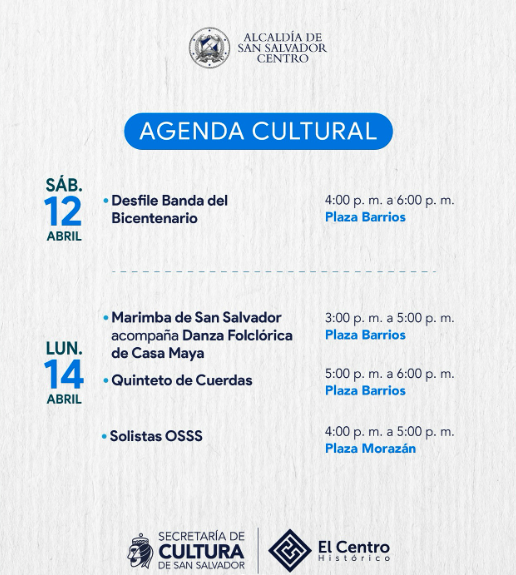 Desfile Banda del Bicentenario