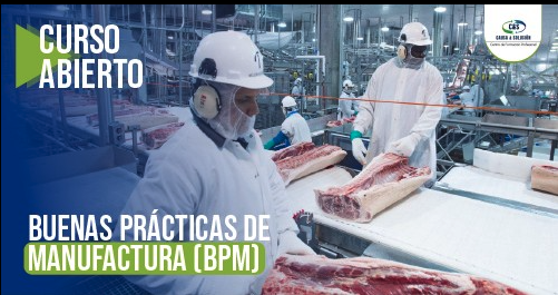 BUENAS PRÁCTICAS DE MANUFACTURA (BPM) según RTCA