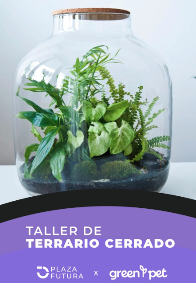Taller de Terrario Cerrado con Green Pet.