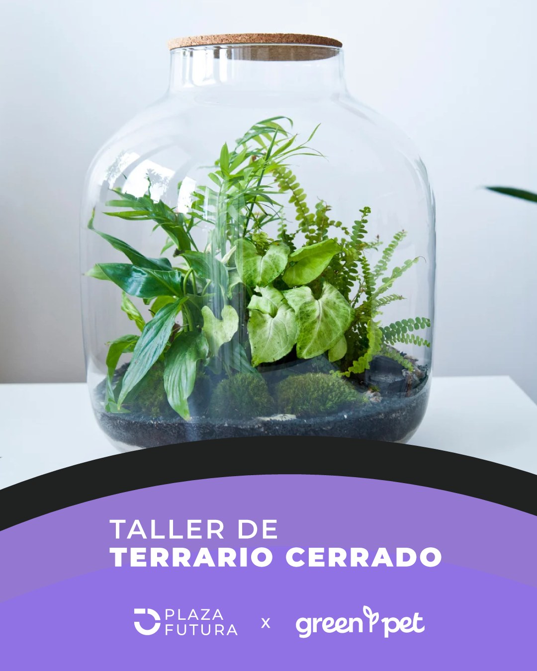 Taller Terrario Cerrado 