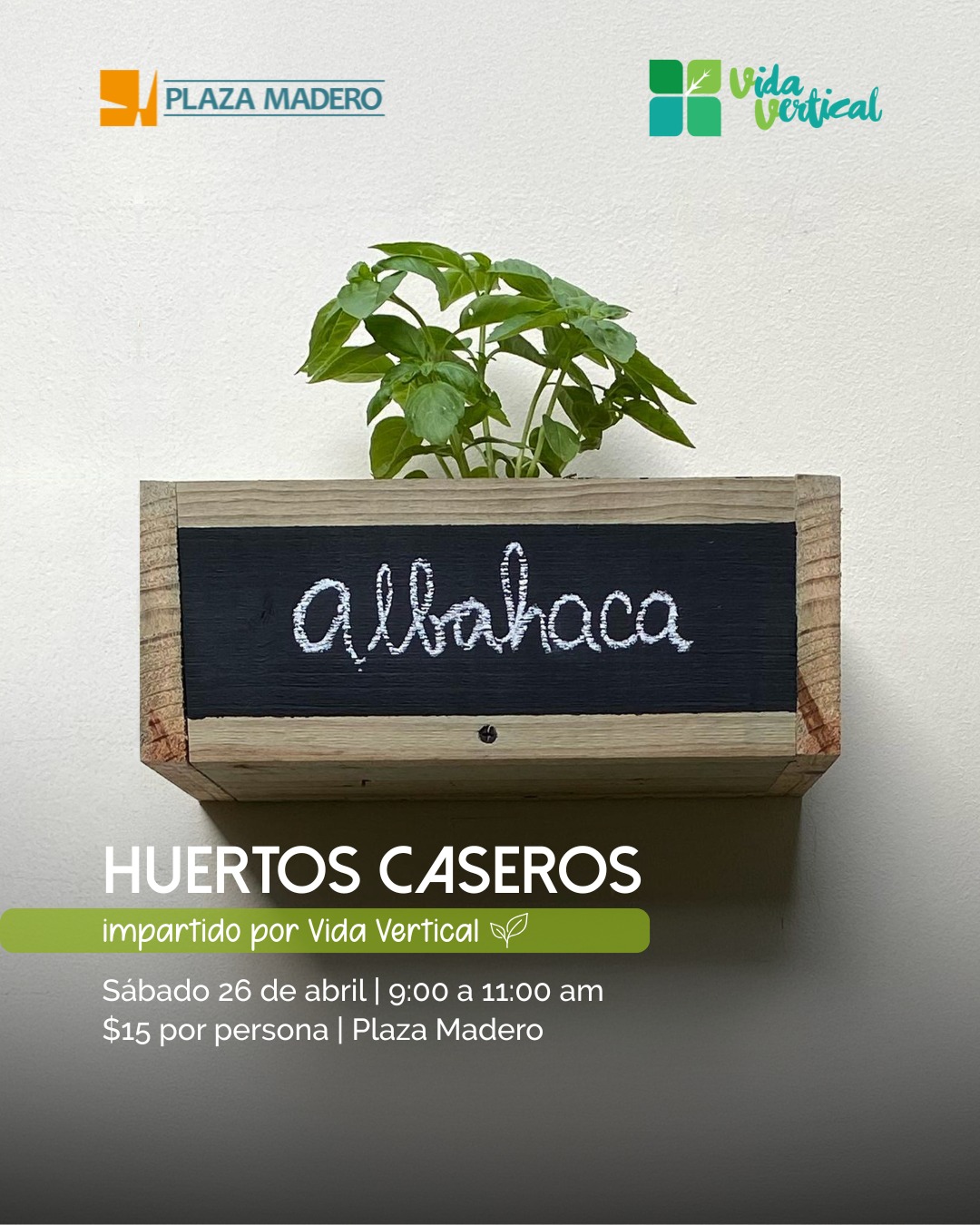 Taller de huerto casero