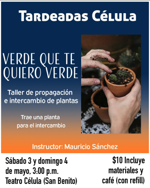 Taller de multiplicación de plantas