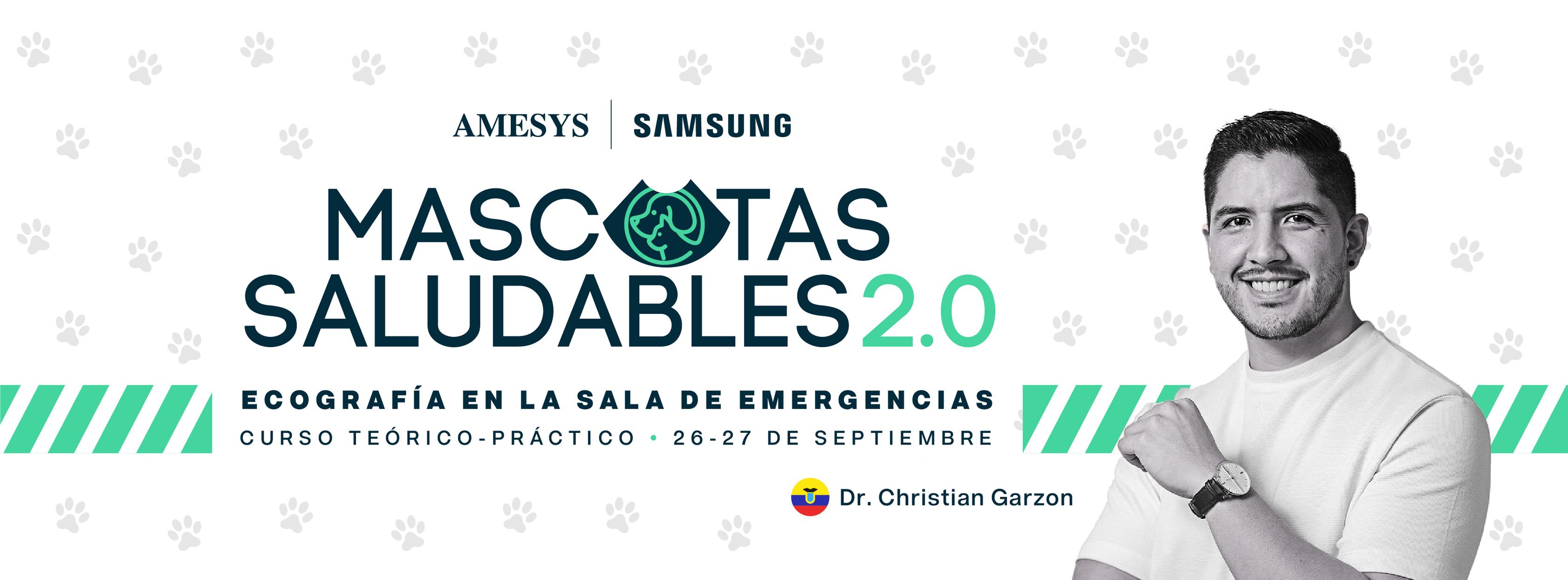 Curso Teórico Práctico de ecografía en la sala de emergencia