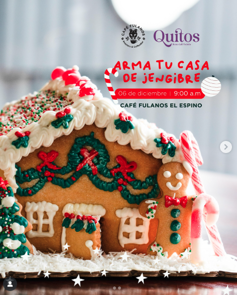 Arma Tu Casa De Jengibre