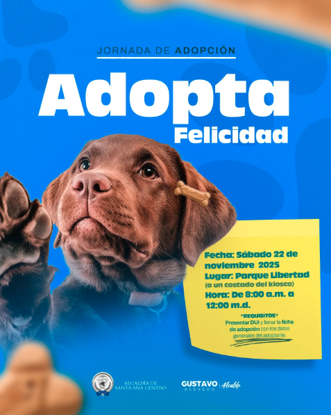 Jornada De Adopción De Perros
