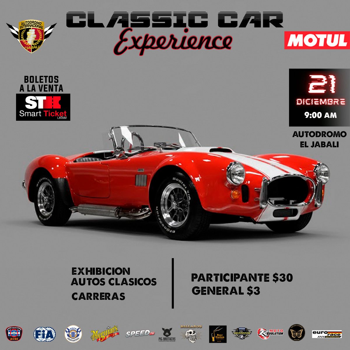 🎉 Classic Car Experience 🚘
