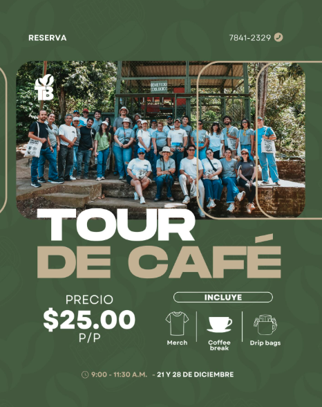  ¡Tours Navideño de Two Bros! ✨🎄