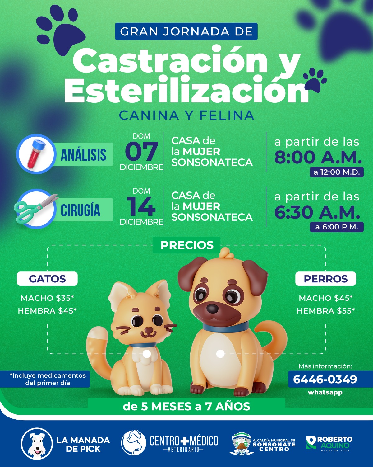 🐾 Primera Jornada: Análisis Previo 🐾