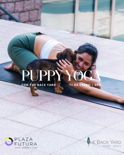 PUPPY YOGA 🧘‍♀️🐶