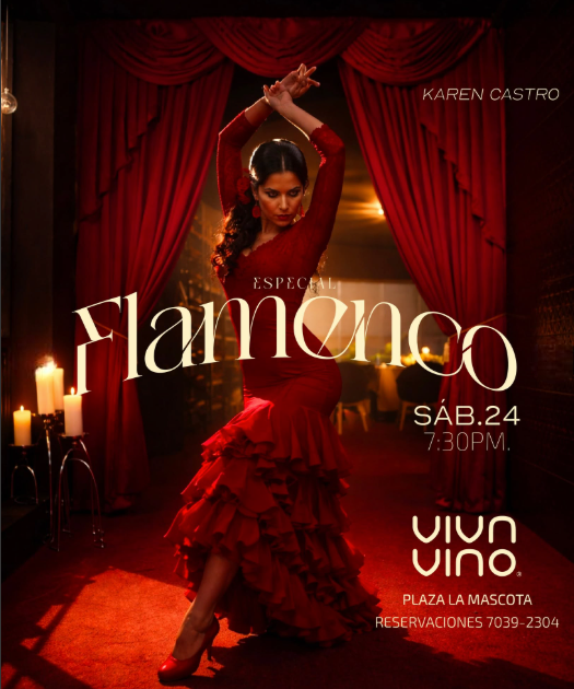 🎶 Noche de Flamenco 💃