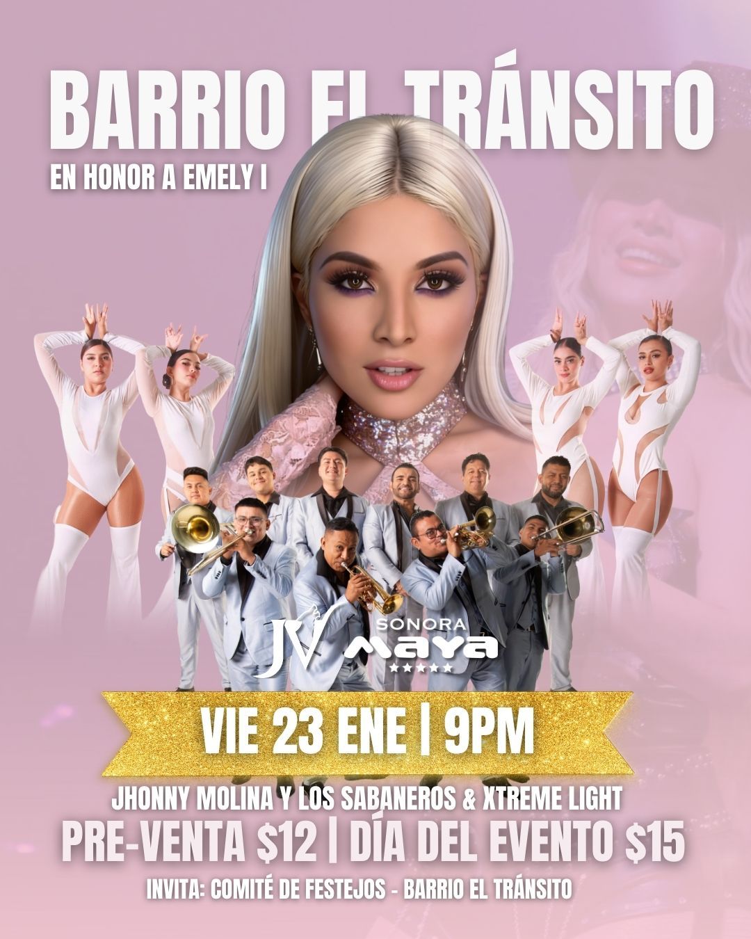 Fiesta En Barrio El Tránsito