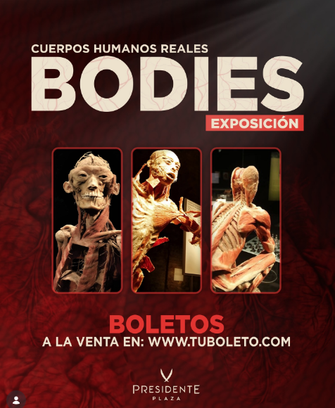 Exposición BODIES