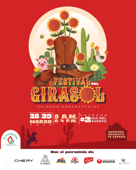 Festival Del Girasol🌻🤠