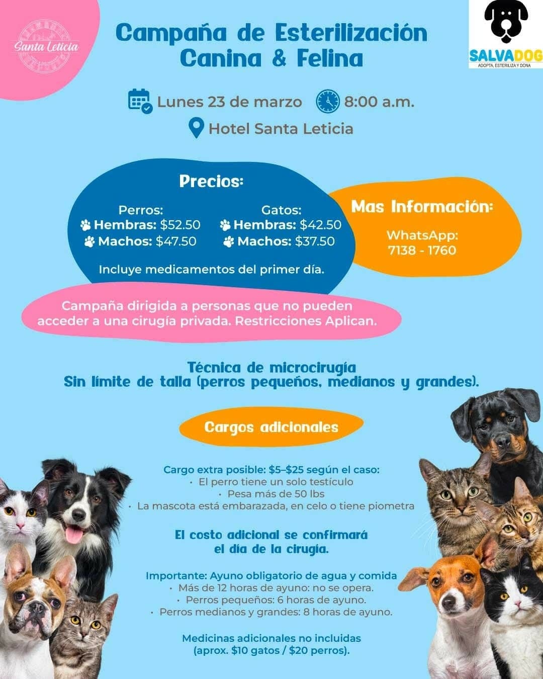 image of Campaña de Esterilización Canina & Felina