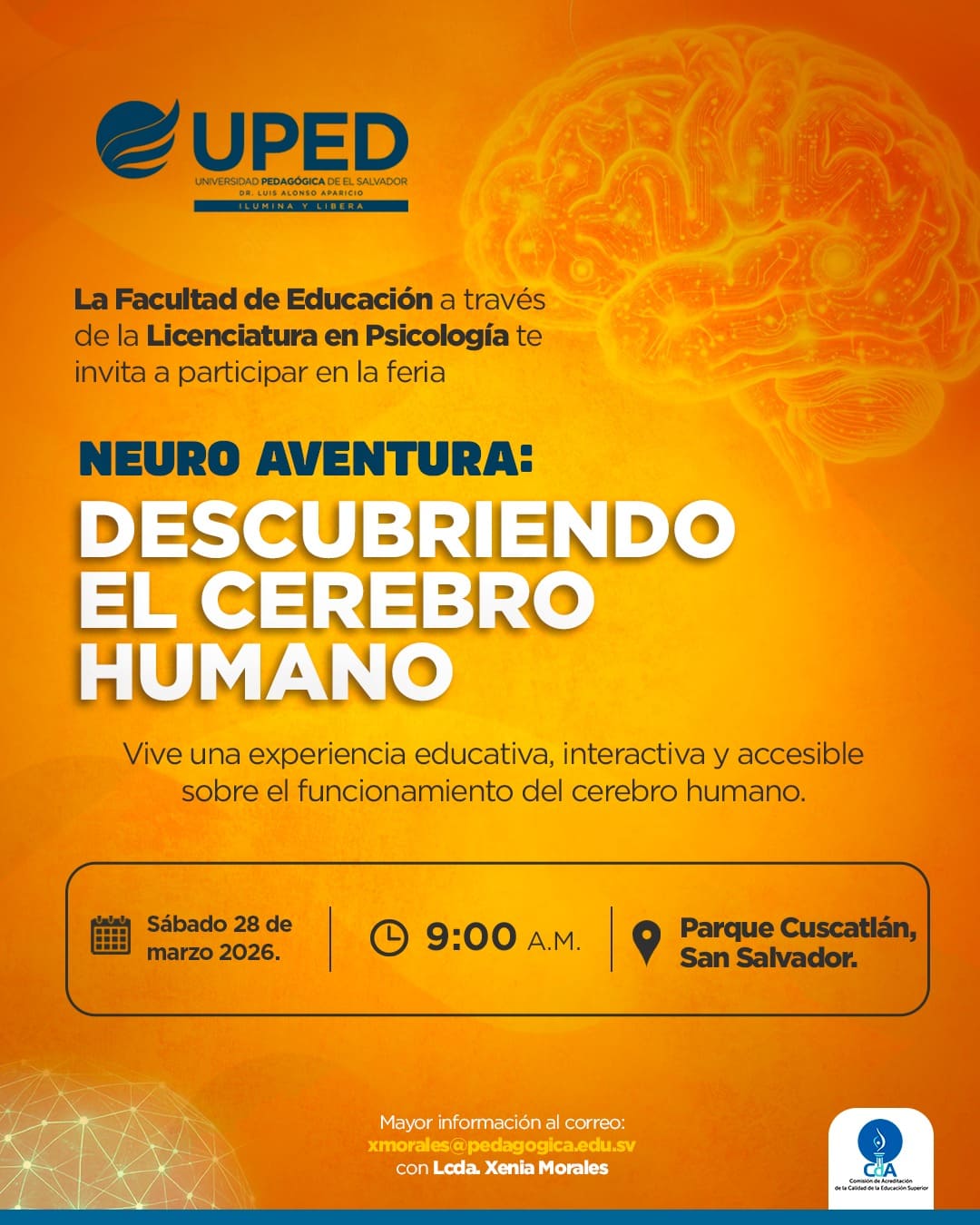 NEURO AVENTURA: DESCUBRIENDO EL CEREBRO HUMANO