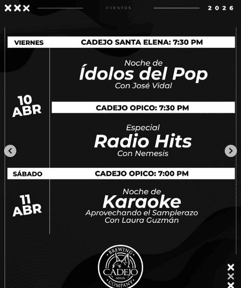 Ídolos Del Pop + Radio Hits 