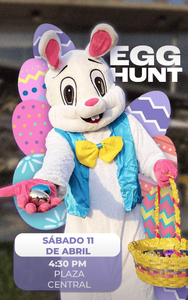 image of Egg Hunt