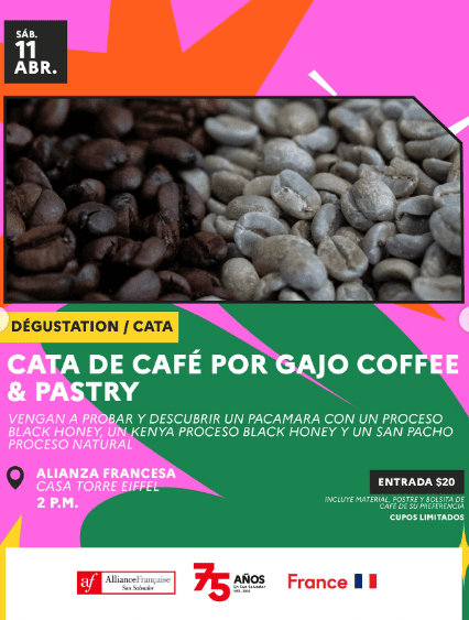 Cata De Café Por Gajo Coffee & Pastry