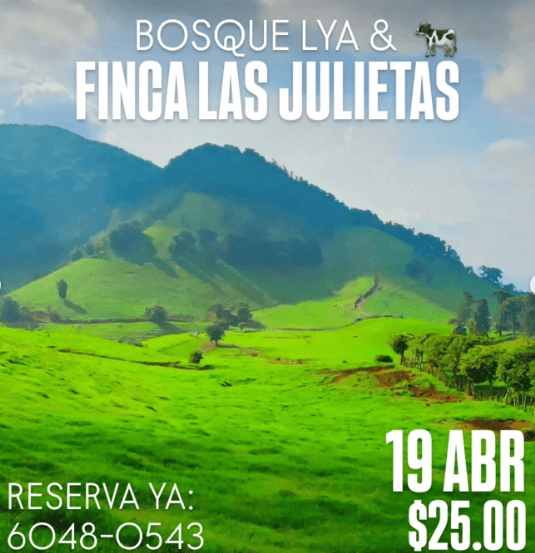 Bosque LYA & Finca Las Julietas