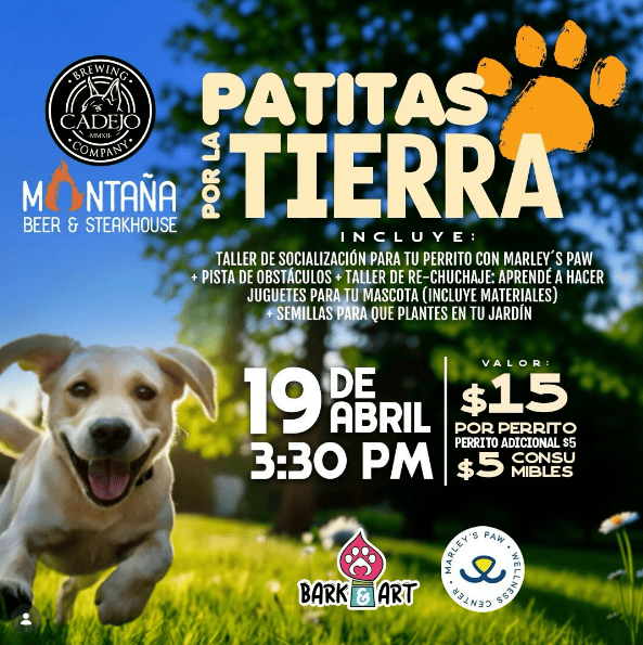 Patitas Por La TIerra