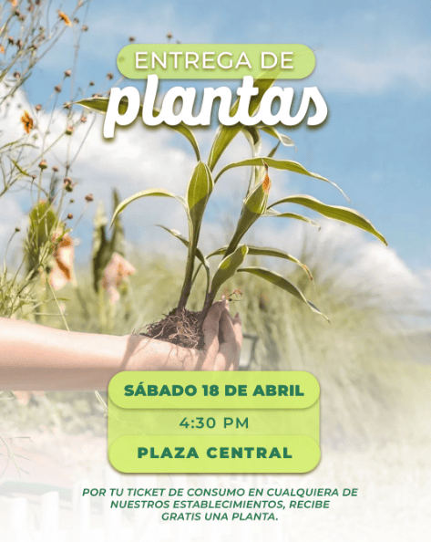 ¡Lleva un pedacito de naturaleza a tu hogar! 🌿🌎